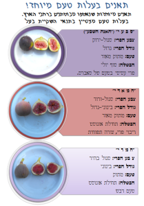 הסבר על תאנים בעלות טעם מיוחד